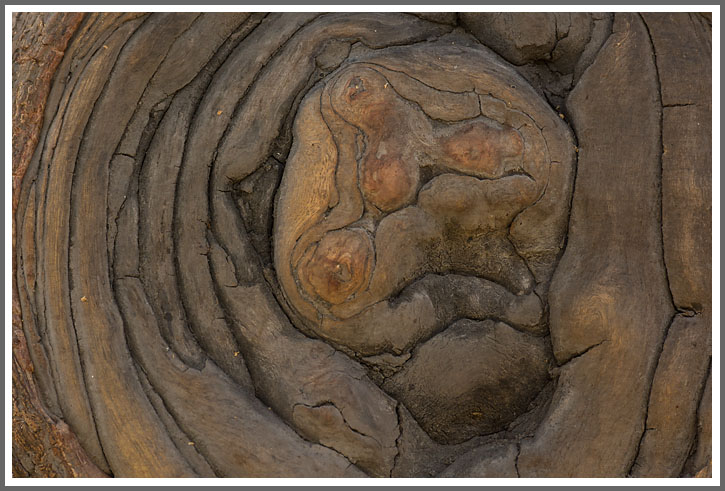 Schau mir in die Augen