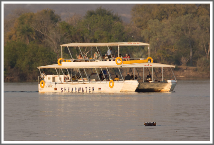 Sundownerfahrt am Sambesi