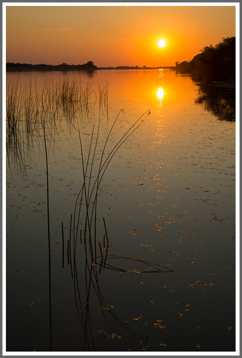 Sonnenuntergang im Okavango-Delta