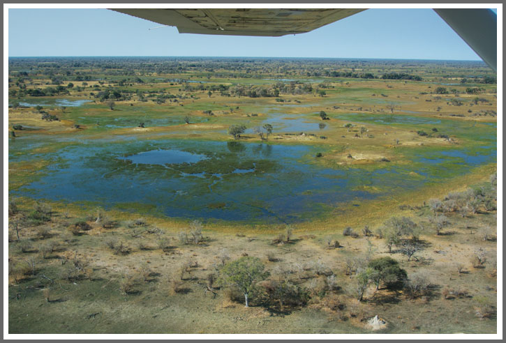 Flug in das Okavango-Delta 1