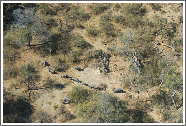Flug in das Okavango-Delta 3