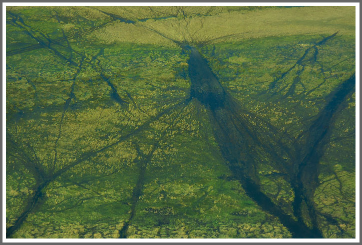 Flug in das Okavango-Delta 7