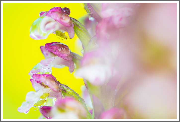 Rettungsschirme für alle