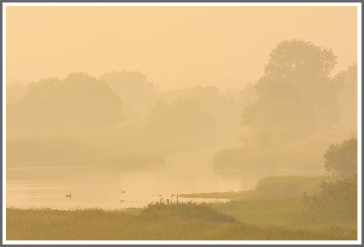 Wo sich Reh und Schwan guten Morgen sagen...