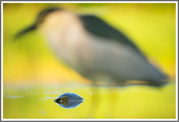 Zufällige Begegnung