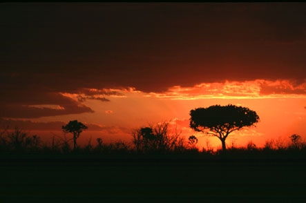  Sonnenuntergang bei Lower Sabie
