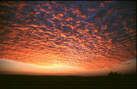  Sonnenaufgang bei Letaba