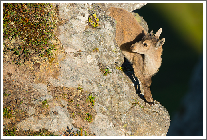 ...und wie geht´s weiter, Mama?