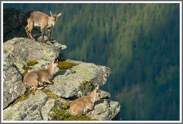 Kinderzimmer mit Aussicht