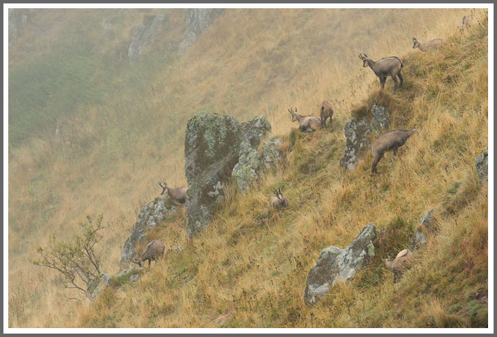 Ein Titelfoto für GalerieVogesen 2015