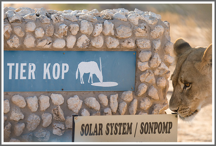 Blick in die Speisekarte