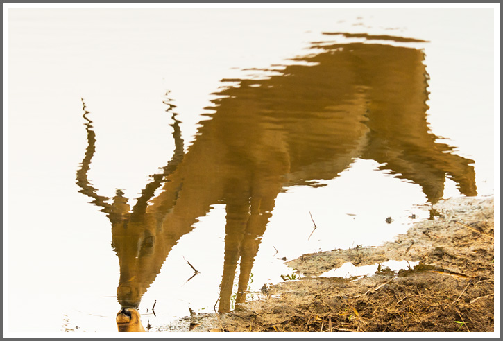 Spieglein, Spieglein...