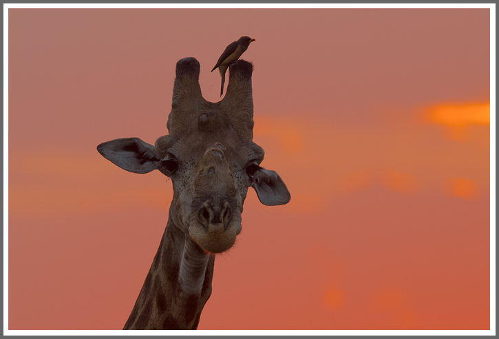 Das war`s mal wieder