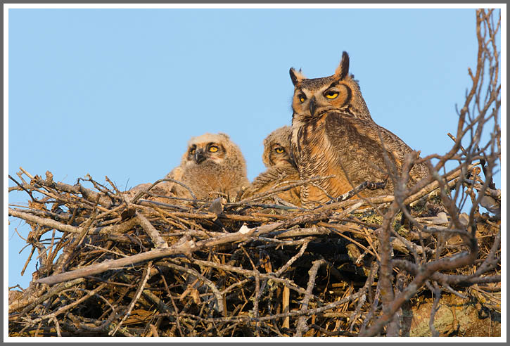 Wo bleibt der Vater?