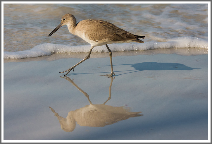 Die drei Seelen des Wasserläufers 