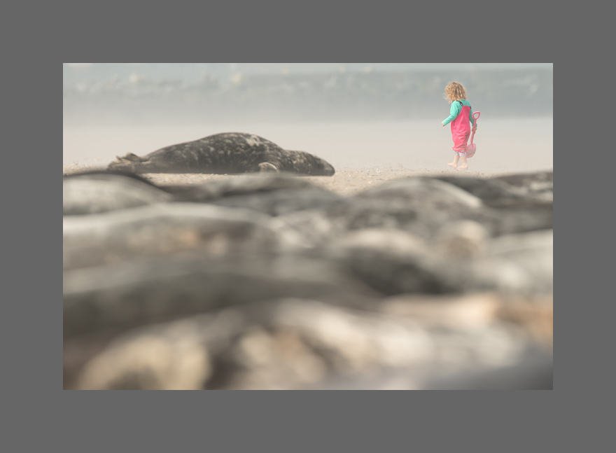 Sie will doch nur spielen...