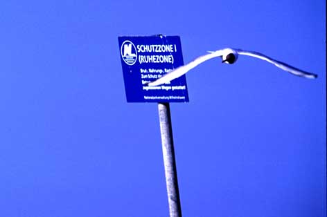 Schutzzone Nationalpark Wattenmeer