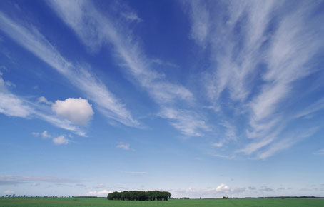 Felder vor Klausdorf