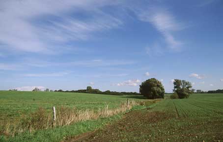 Landschaft bei Großmohrdorf
