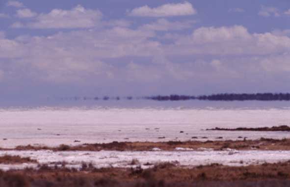 Etosha-Pfanne