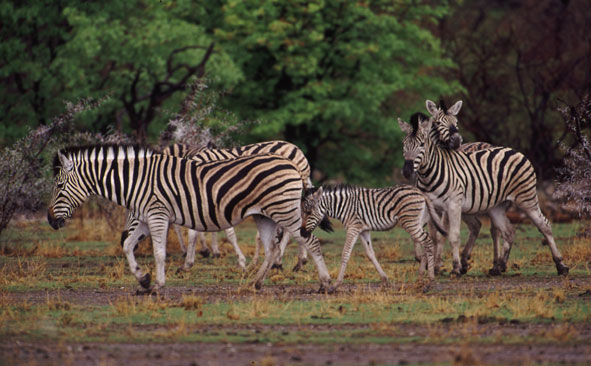 Darf ich auch noch mit aufs Bild ?