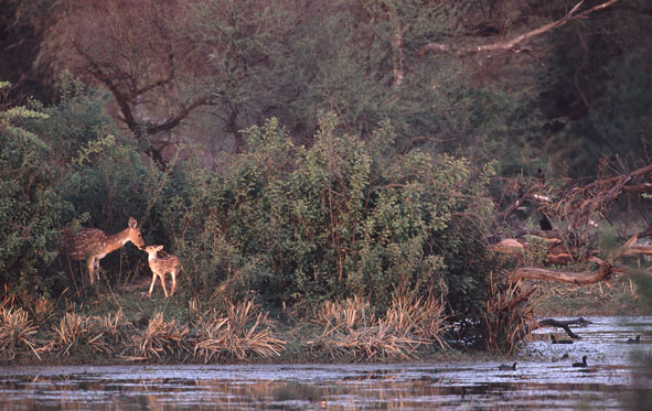 Nur für hoffnungslose Romantiker
