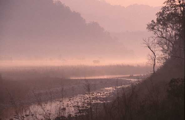 Im Corbett-Nationalpark