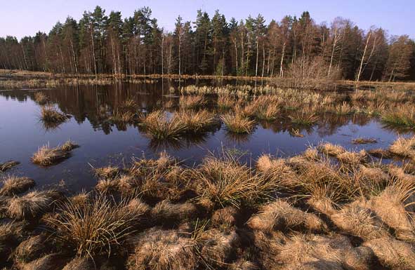 Kleiner See im Gebiet Koberg