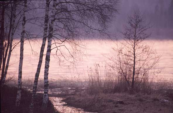 Sonnenuntergang am Vanderyd Vattnet