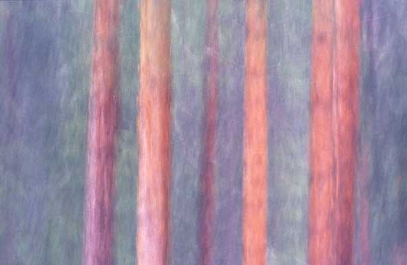 Nadelwälder abstrakt