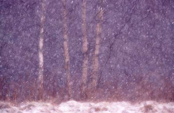 Plötzlicher Wintereinbruch...