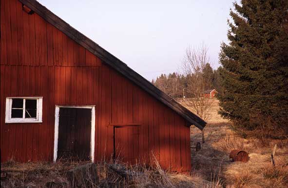  Landschaft in Südschweden