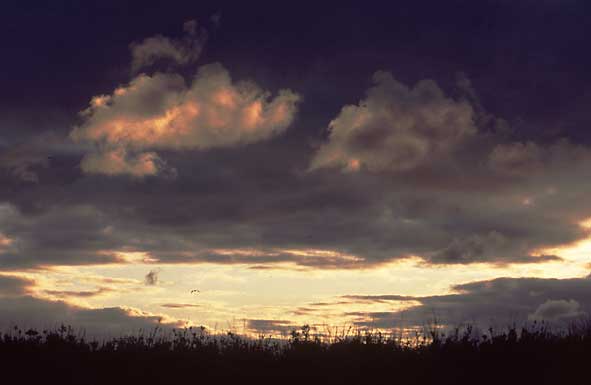 Sonnenuntergang in den Dünen