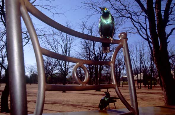 Wann ist denn endlich das Frühstück fertig?!