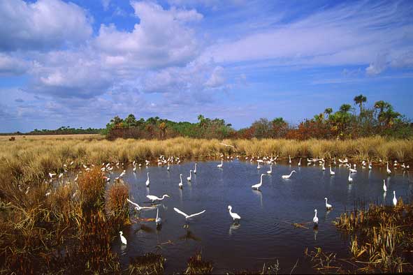 Kleiner Teich in Merritt