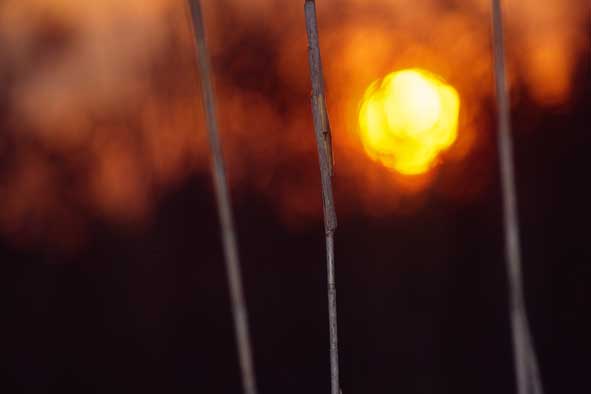 Abschiedsbild am letzten Abend