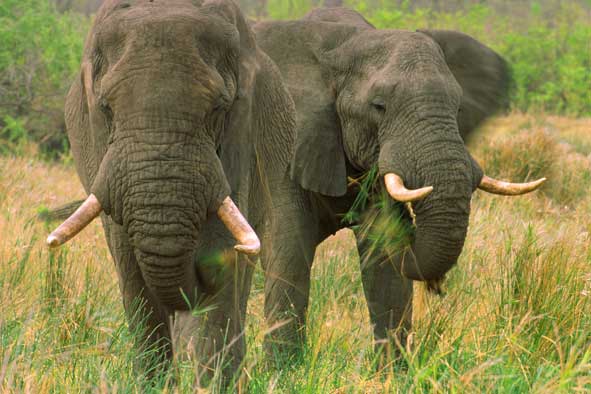 Bitte jetzt nicht stören!