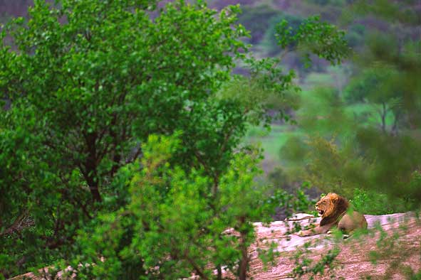 ..endlich Frühling!