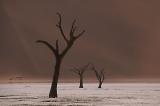 Dead Vlei