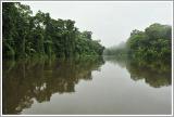 Kanal im Tortuguero NP